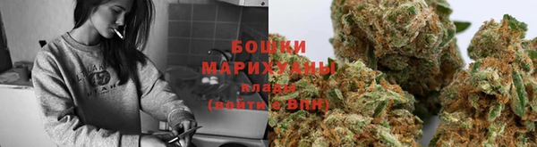 сатива Нягань