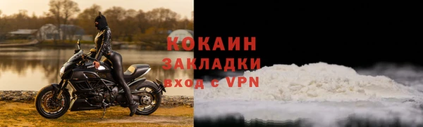 сатива Нягань