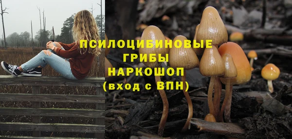 метамфетамин Няндома
