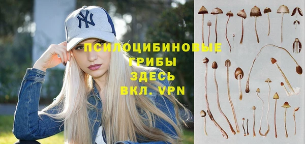 сатива Нягань