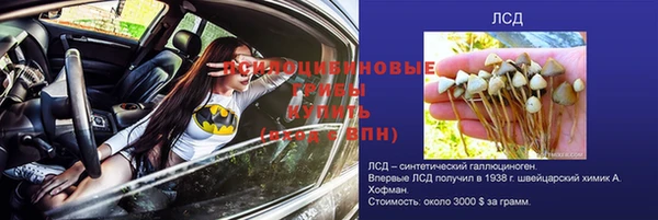 сатива Нягань