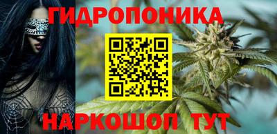 эйфоретик Аргун