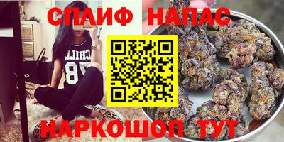 эйфоретик Аргун