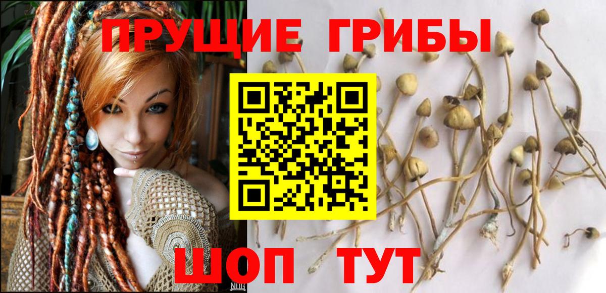 Псилоцибиновые грибы Magic Shrooms Бердск