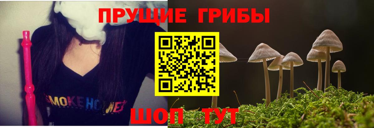 Псилоцибиновые грибы Cubensis  Бердск 