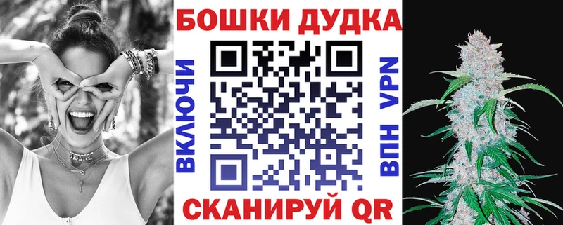 Каннабис планчик Бердск