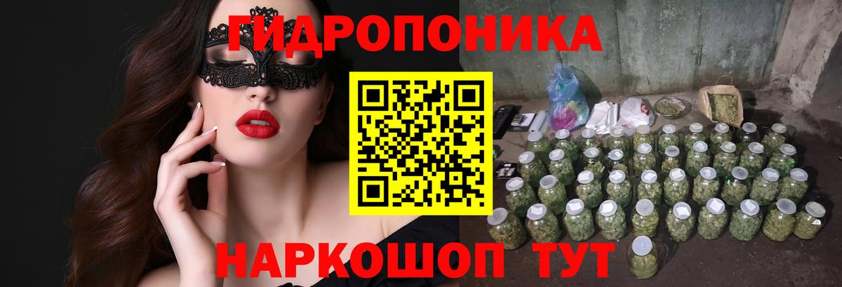 Бердск  Бошки Шишки LSD WEED  Конопля THC 21%  Канабис Bruce Banner  Вход с VPN 
